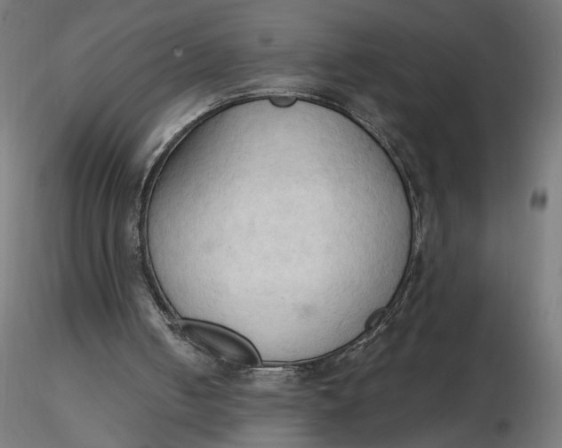 X0000116510050200912231242