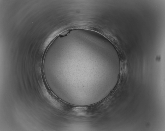 X0000116510051200912231242