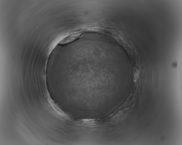 X0000116510052200912231242