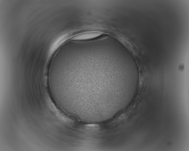 X0000116510053200912231242