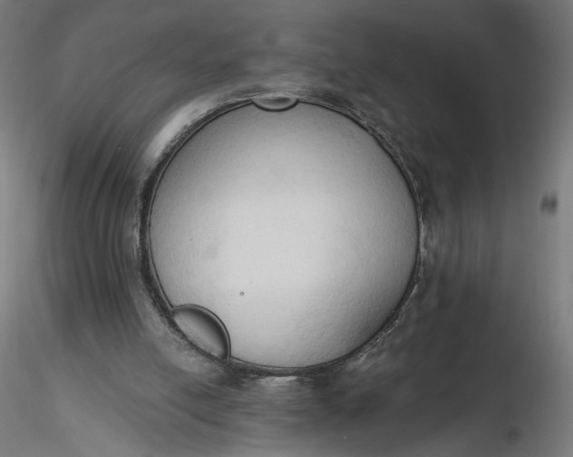 X0000116510054200912231242