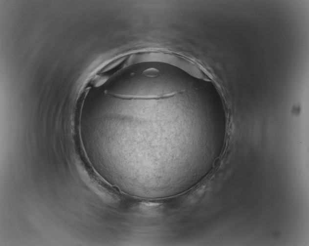 X0000116510055200912231242