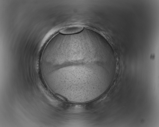 X0000116510056200912231242