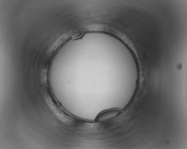 X0000116510057200912231242