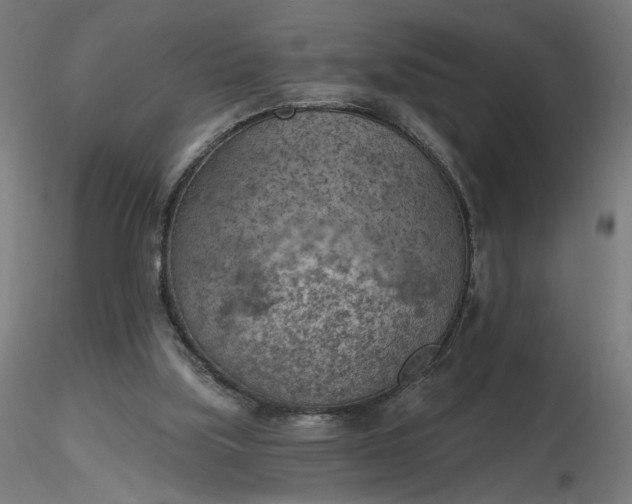 X0000116510059200912231242