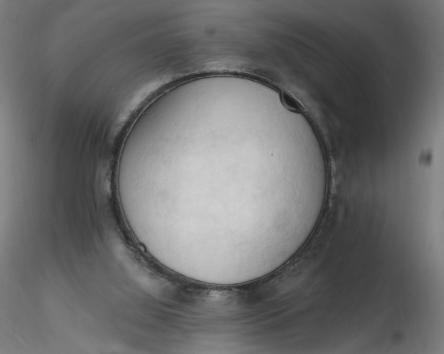 X0000116510060200912231242