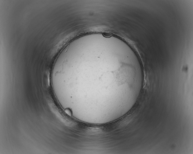 X0000116510061200912231242