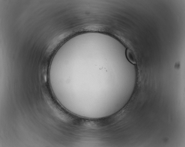 X0000116510062200912231242