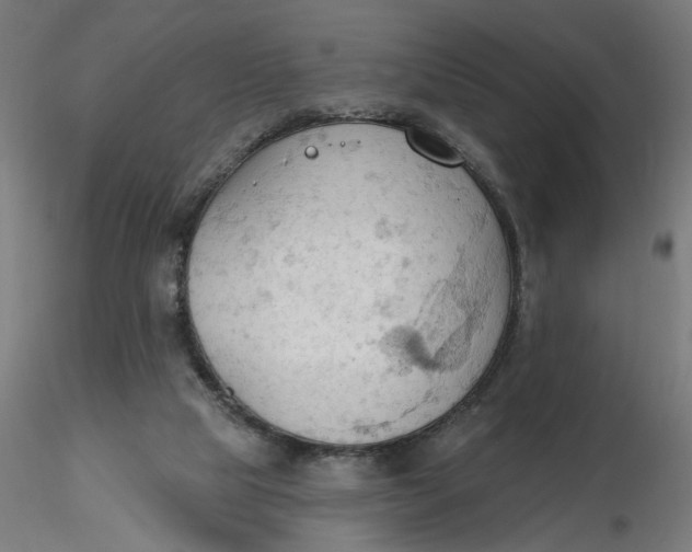 X0000116510065200912231242