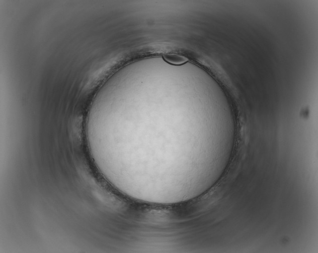 X0000116510066200912231242