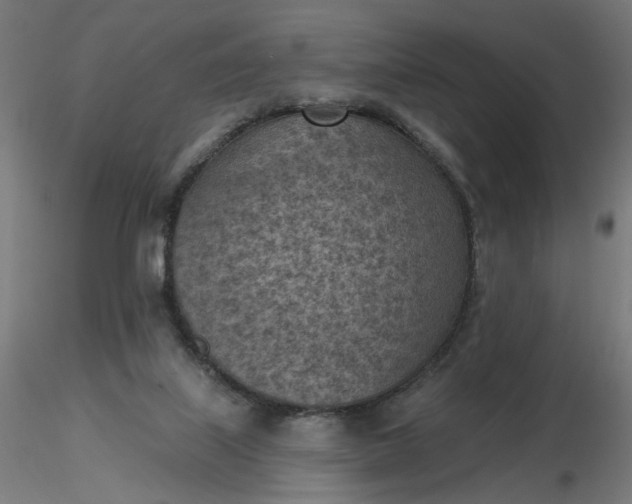 X0000116510067200912231242