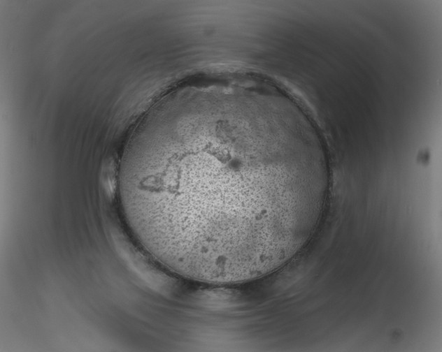 X0000116510069200912231242