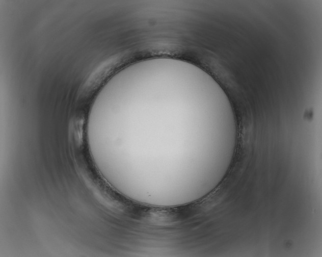 X0000116510070200912231242