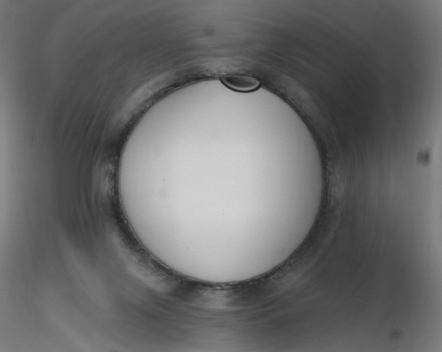 X0000116510071200912231242