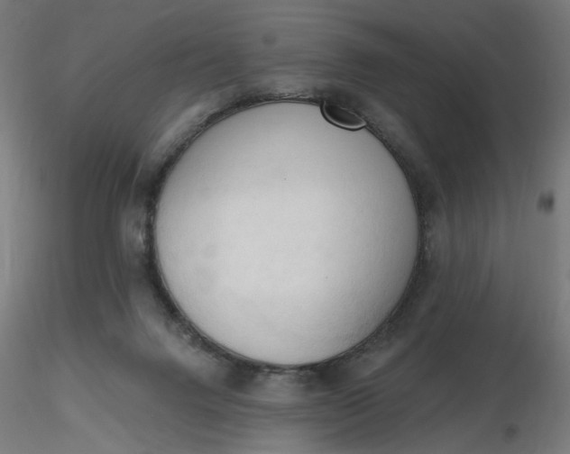 X0000116510072200912231242