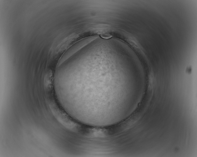 X0000116510073200912231242