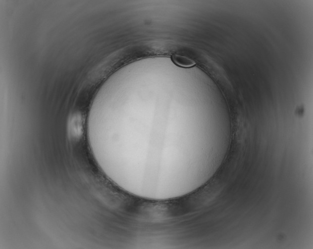 X0000116510075200912231242