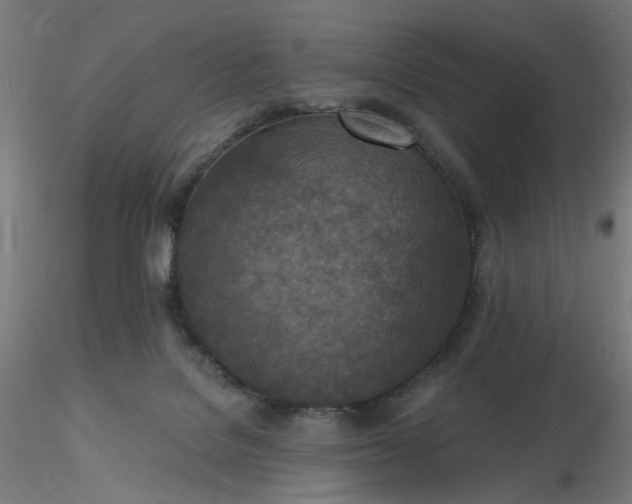 X0000116510076200912231242