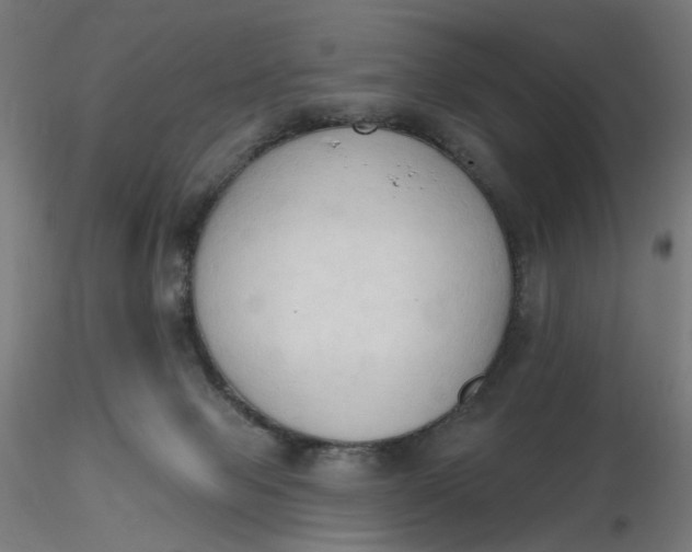 X0000116510077200912231242