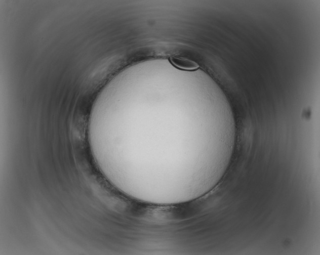 X0000116510078200912231242