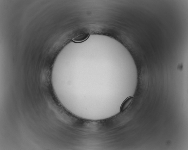 X0000116510079200912231242