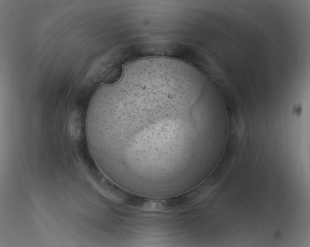 X0000116510080200912231242