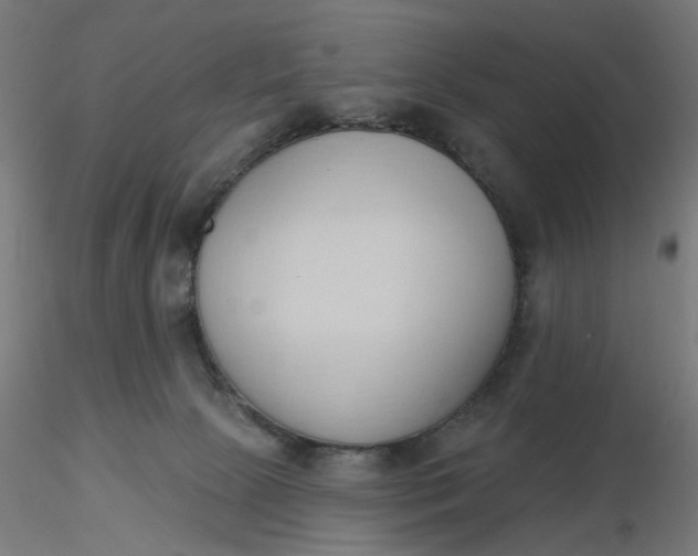 X0000116510081200912231242