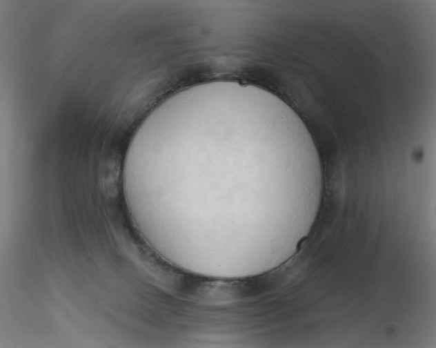 X0000116510082200912231242