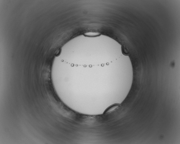 X0000116510083200912231242