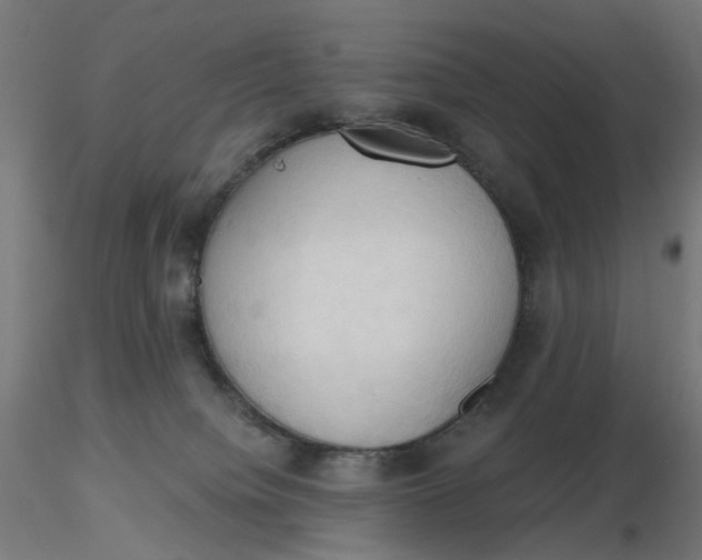 X0000116510084200912231242