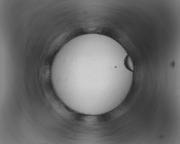 X0000116510085200912231242