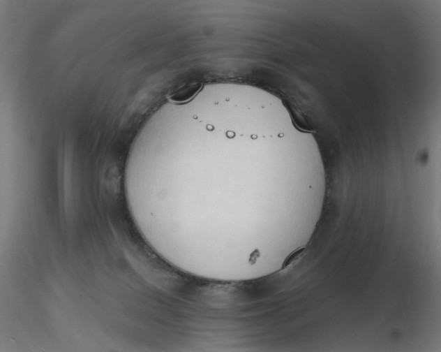 X0000116510086200912231242