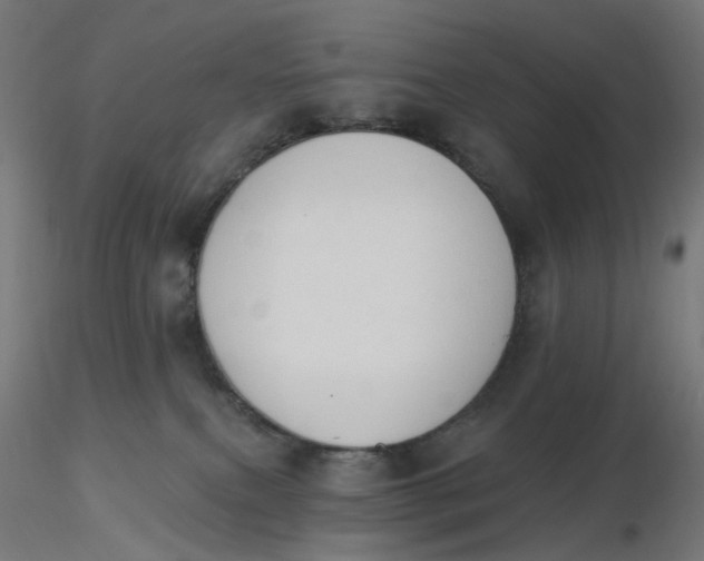 X0000116510087200912231242