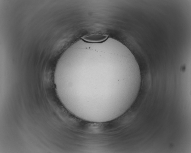 X0000116510088200912231242