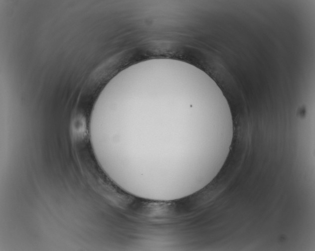 X0000116510089200912231242