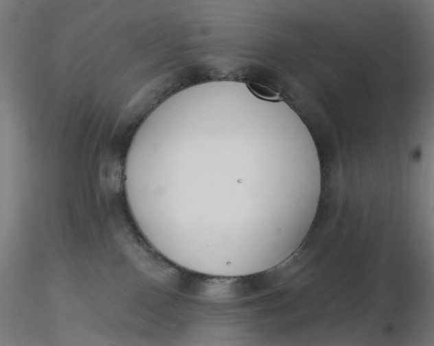 X0000116510090200912231242