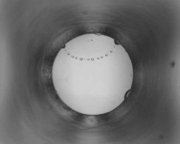 X0000116510091200912231242