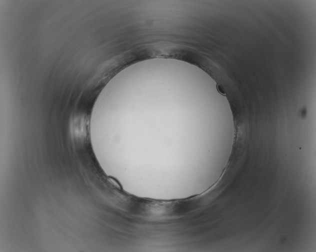 X0000116510094200912231242