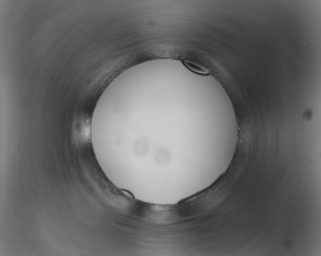 X0000116510095200912231242