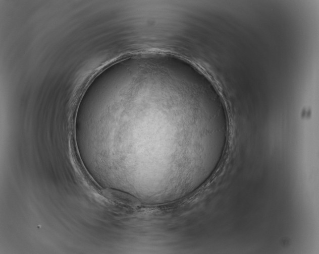 X0000116510097200912231242