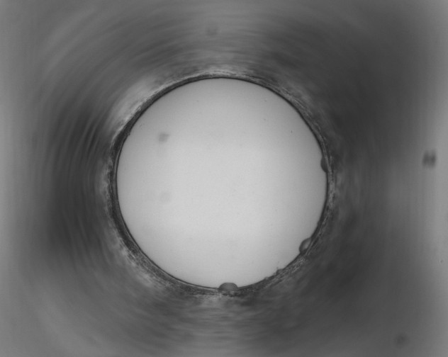 X0000116510098200912231242