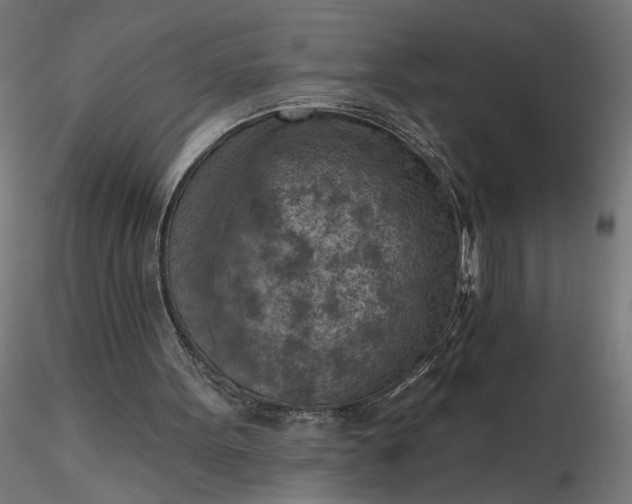 X0000116510099200912231242