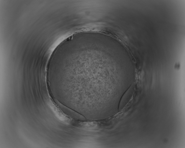 X0000116510100200912231242