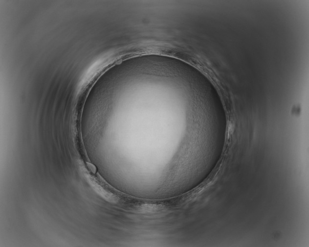 X0000116510101200912231242