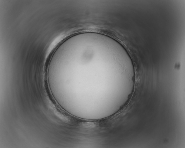 X0000116510102200912231242