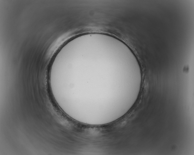 X0000116510103200912231242