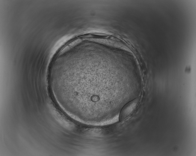 X0000116510104200912231242