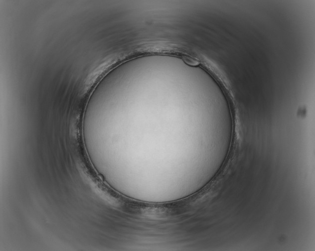 X0000116510105200912231242