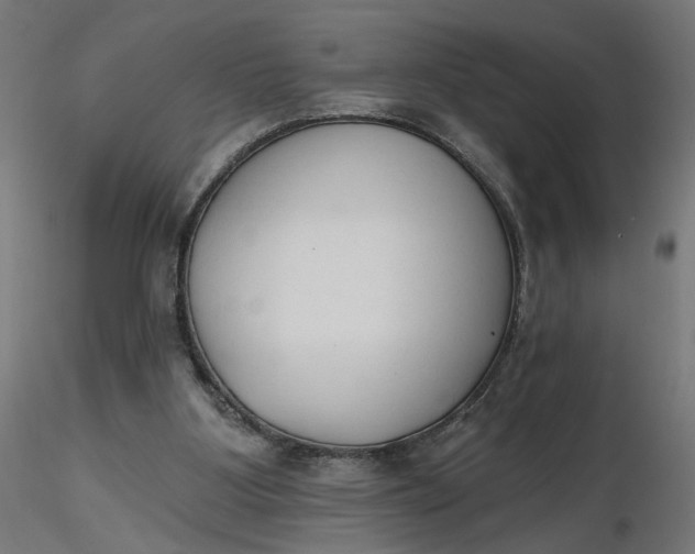 X0000116510107200912231242