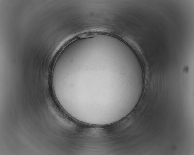 X0000116510108200912231242